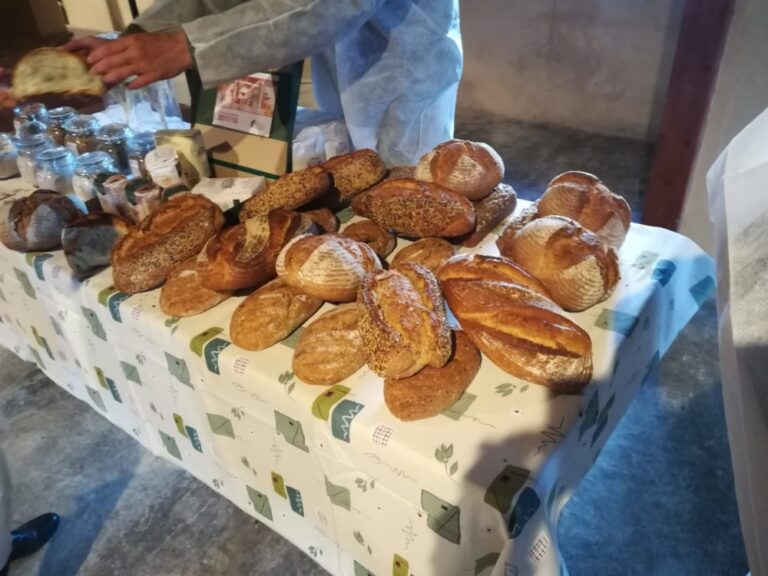 Visita del Viceconsejero de Desarrollo Rural de la Junta de Castilla y León y Director General del ITACyL al Molino de Piedra