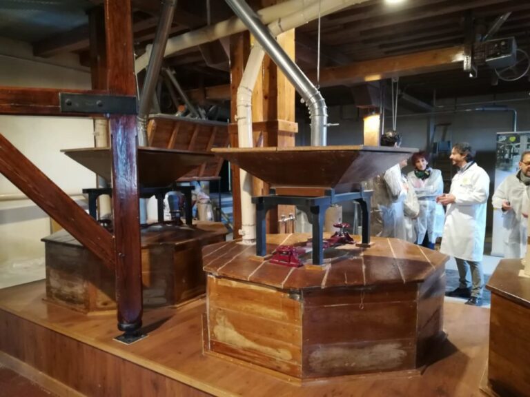 Visita del Viceconsejero de Desarrollo Rural de la Junta de Castilla y León y Director General del ITACyL al Molino de Piedra