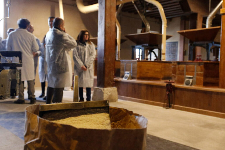 Visita del Viceconsejero de Desarrollo Rural de la Junta de Castilla y León y Director General del ITACyL al Molino de Piedra